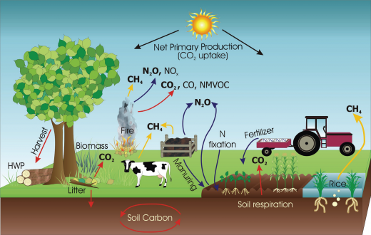 Agriculture and forestry act as a GHG source and sink | Plants remove atmospheric carbon and store it above and below ground, while agricultural practices and deforestation contribute to varying levels of GHG emissions.| Figure 1:The main greenhouse gas emission sources, removals and processes in managed ecosystems. | Source: Eggleston, H.S. et al. (2006).
